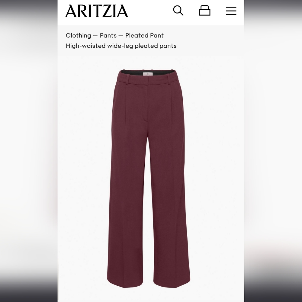Aritzia Babaton High-waisted wide-leg pleated pants